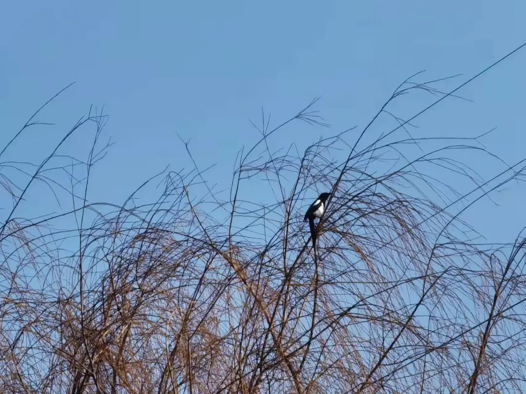 8867fda91f08fc423433bddb4fbbf620.jpg 8867fda91f08fc423433bddb4fbbf620.jpg